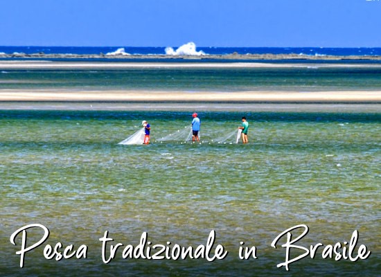 pesca tradizionale sulle coste del brasile