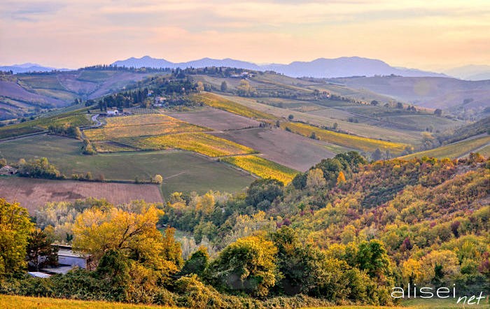 panoramica sulle colline romagnole