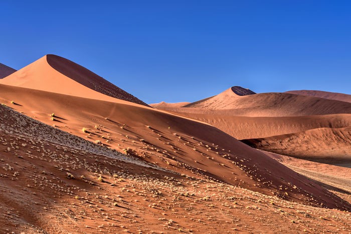 panorama dalla duna 45
