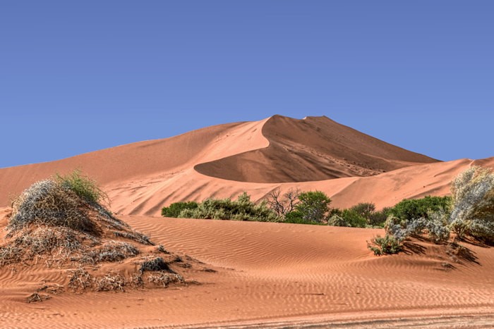 Altre dune del Parco di Sossusvlei