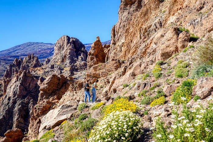 scorcio sulla "Catedral" Teide
