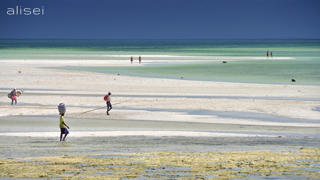 Jacaranda beach, turisti e pescatori 