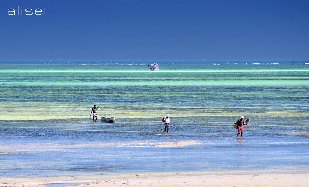 Pescatori rientrano a terra a Jacaranda beach