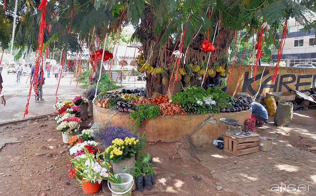 Malindi, un angolo colorato
