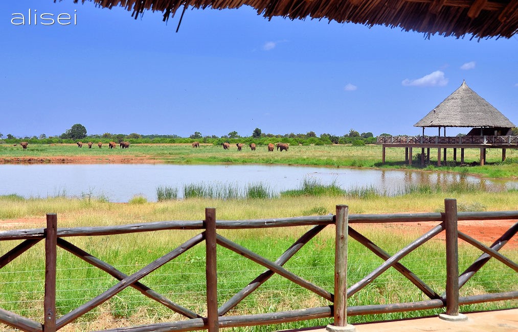 Voi Wildlife Lodge Kenya