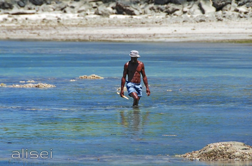 Pescatore di granchi a nosy komba