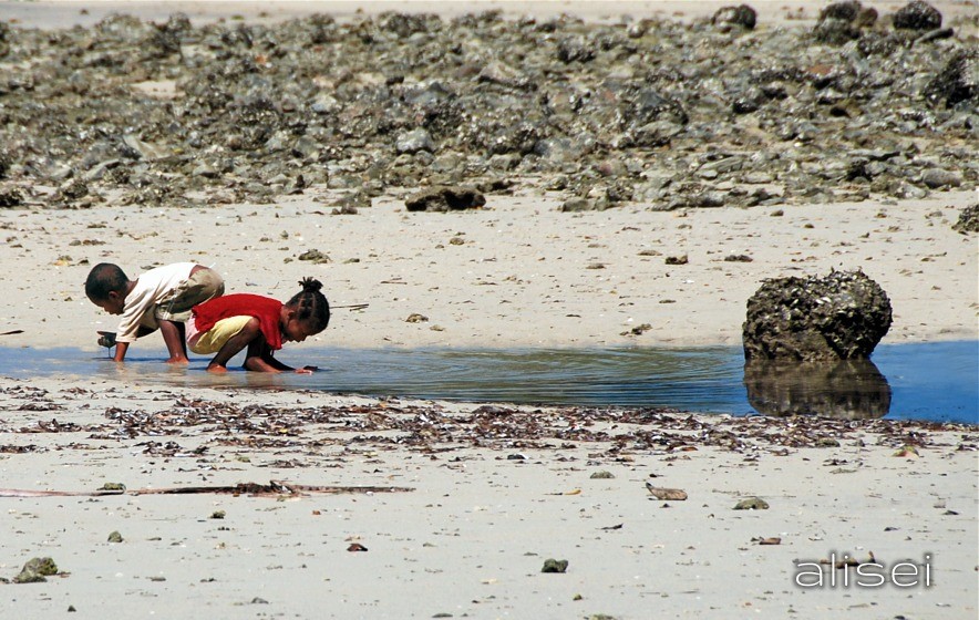 Alla ricerca di qualche piccolo pesce (Nosy Komba)