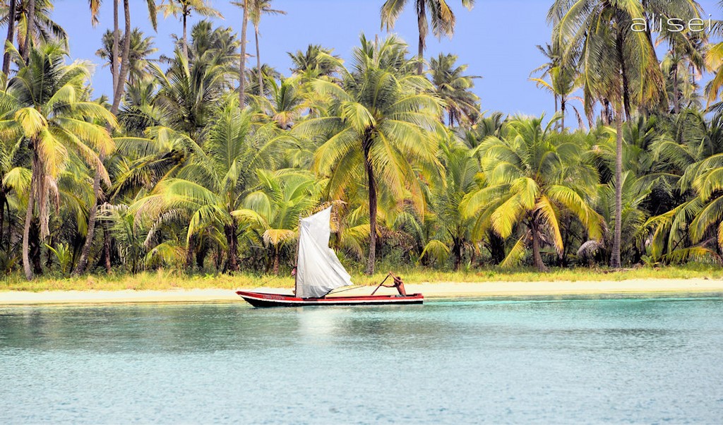salardup San Blas