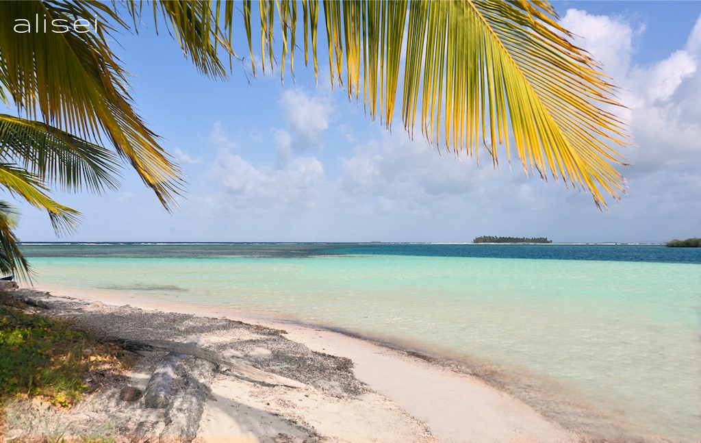 mare cristallino Green island San Blas