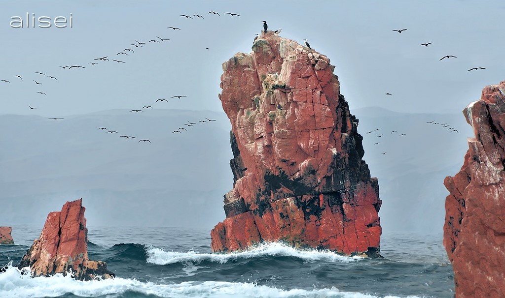 isole ballestas, scogli selvaggi