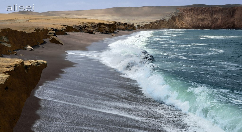 Riserva di Paracas, playa roya