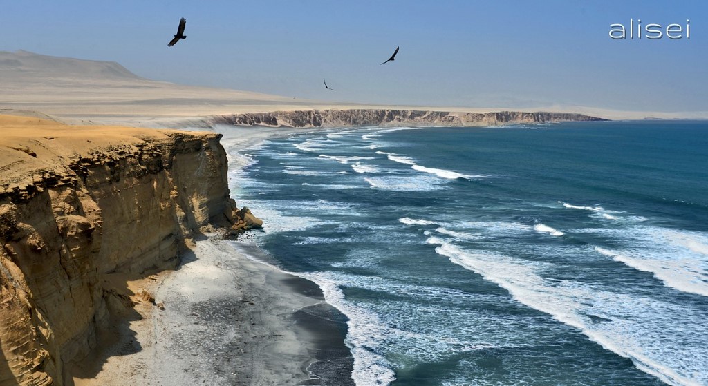 Riserva di Paracas, tratto costa oceanica