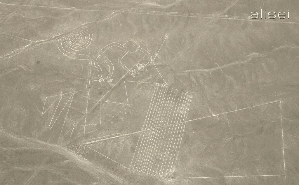 linee di nasca perù, scimmia
