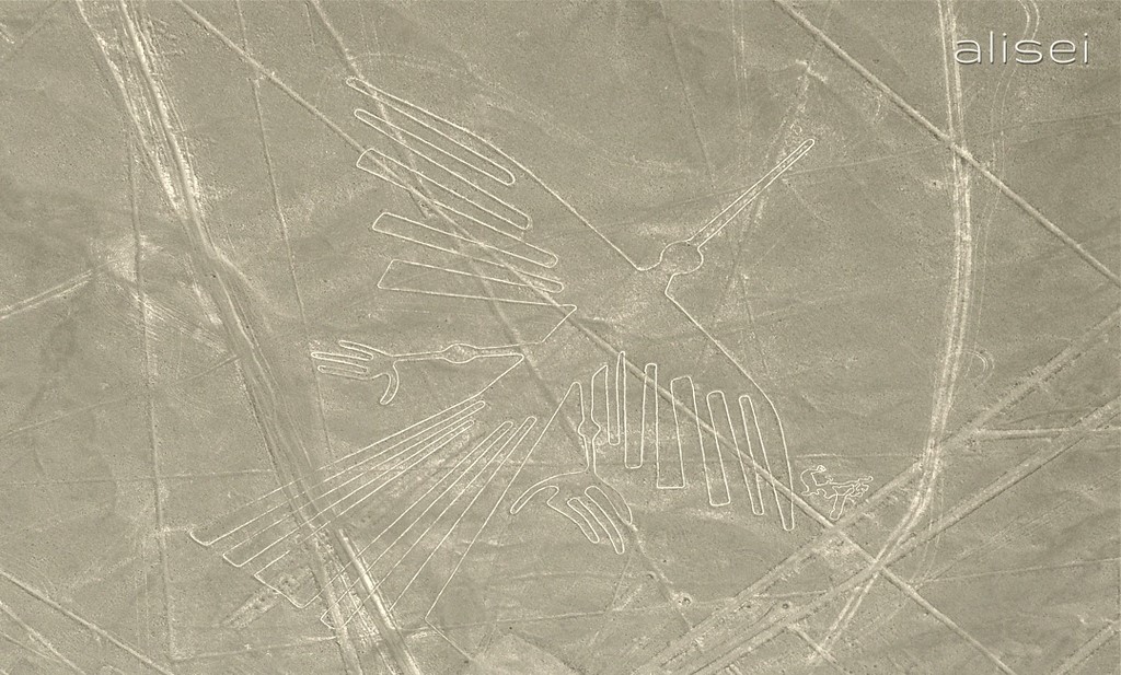 linee di nasca perù, condor