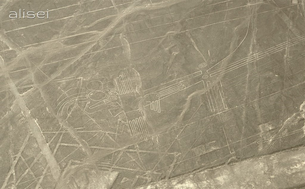 linee di nasca perù, disegno di uccello