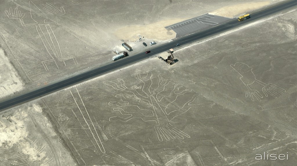 linee di nasca perù, albero e mano