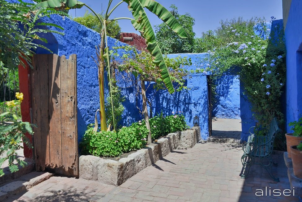 arerquipa, Monastero S. Catalina, giardinetto