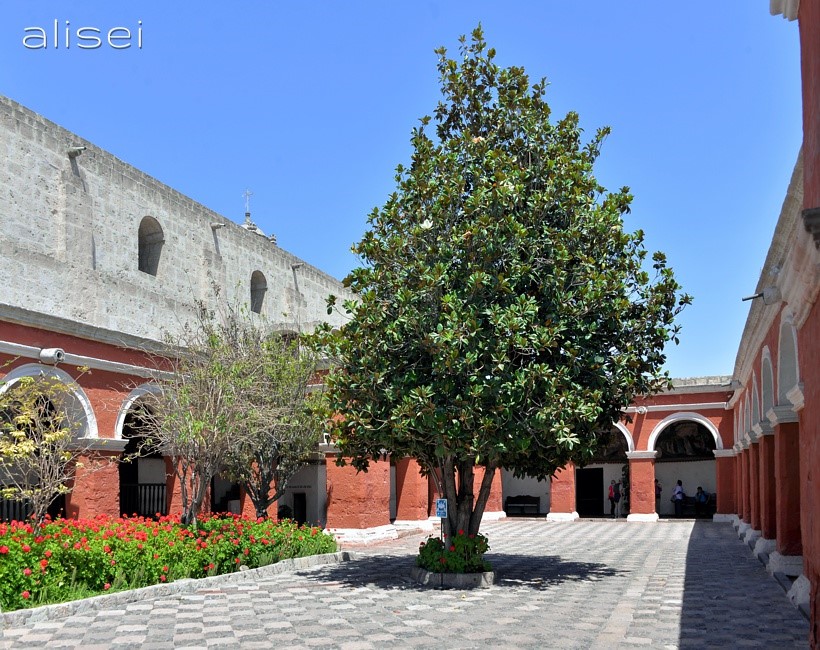 chiostro maggiore monastero arequipa
