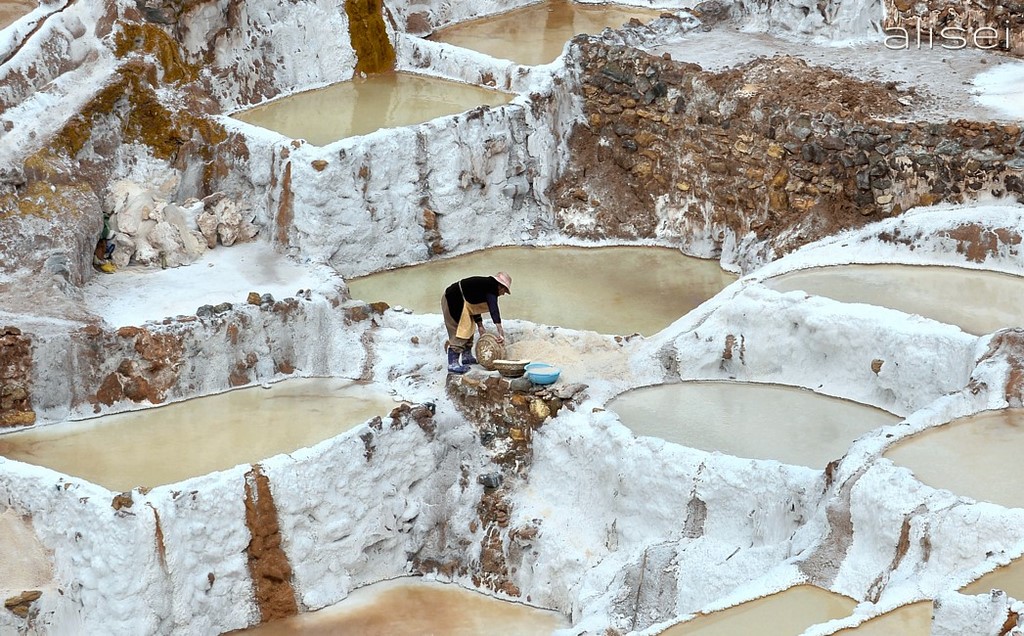 lavoro alle saline di Maras Perù