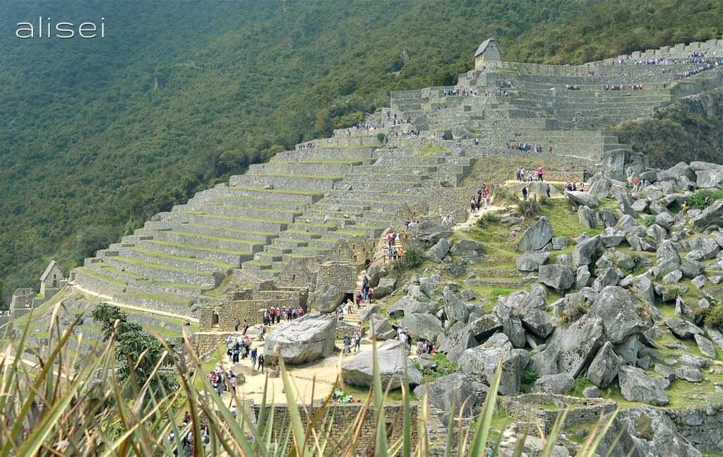 panoramica sui terrazzamenti machu picchu