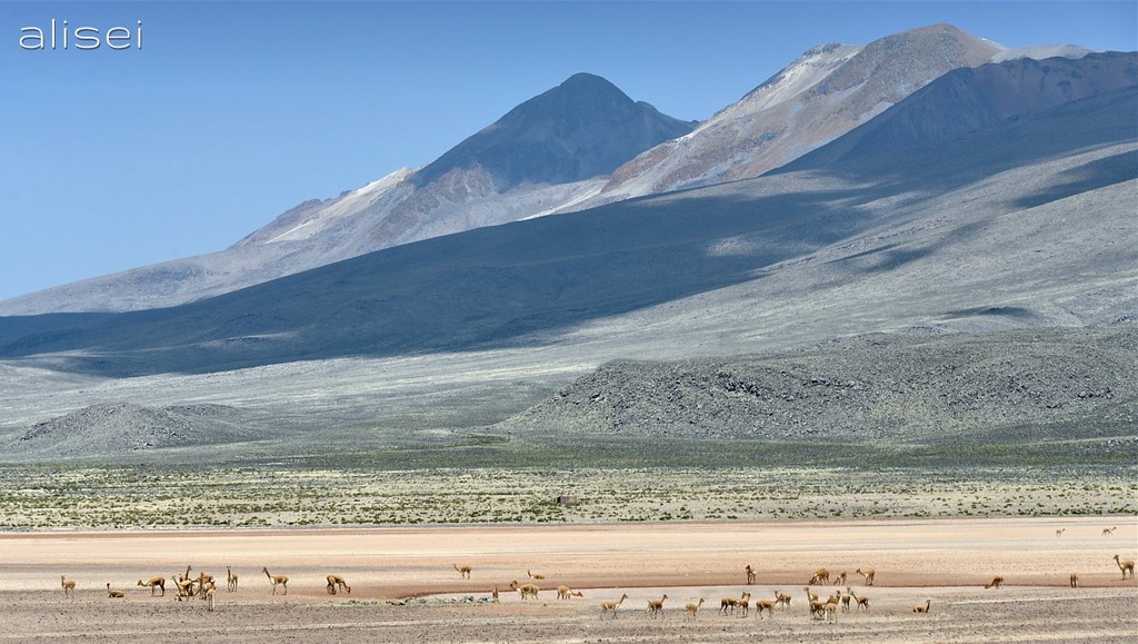 grandi spazi del Perù