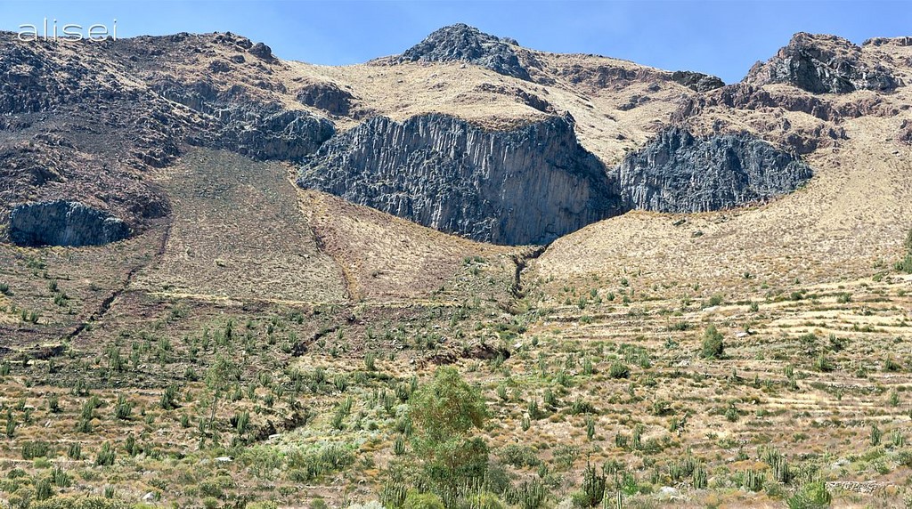 cactus e roccia del Perù