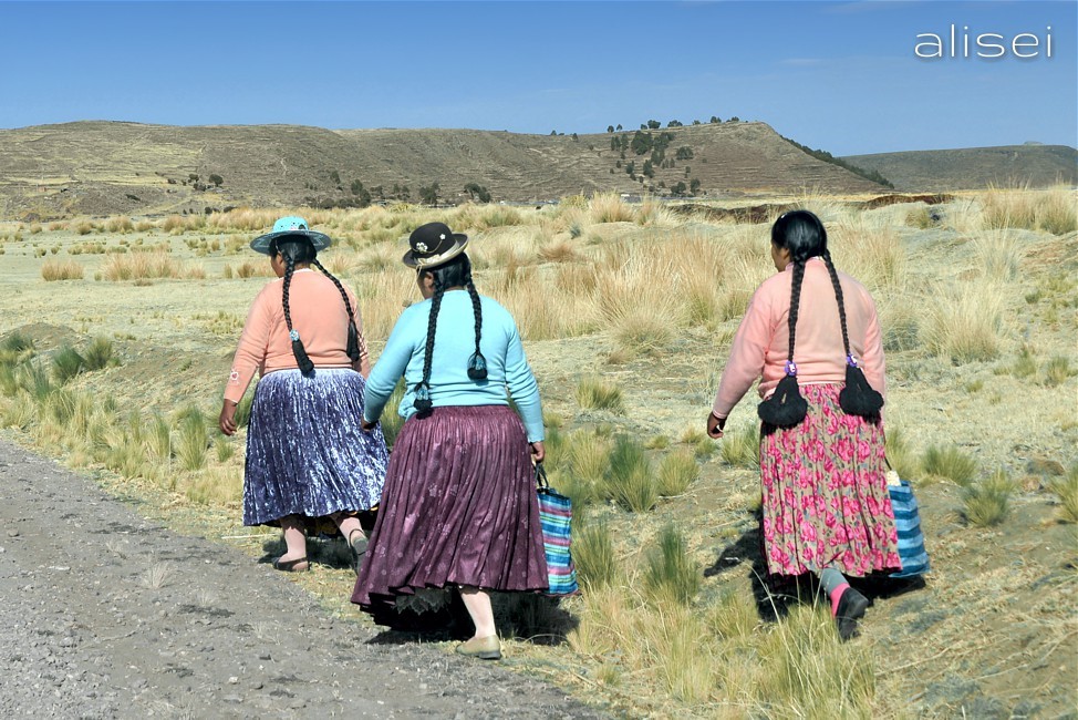 gruppo di donne in costume del perù