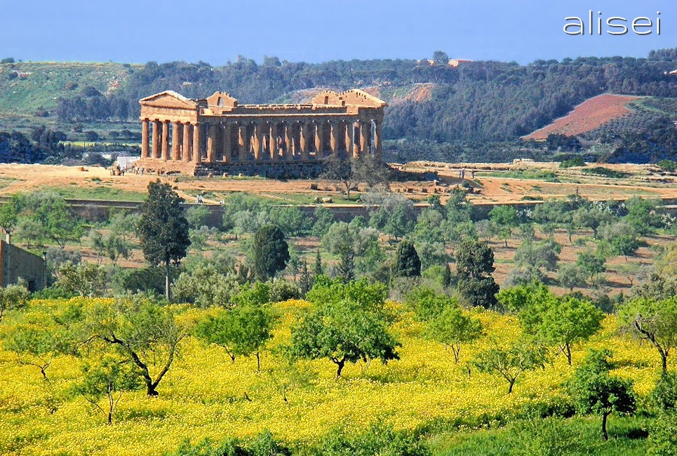 fiori nella valle dei templi