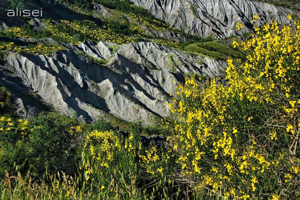 La primavera nei calanchi