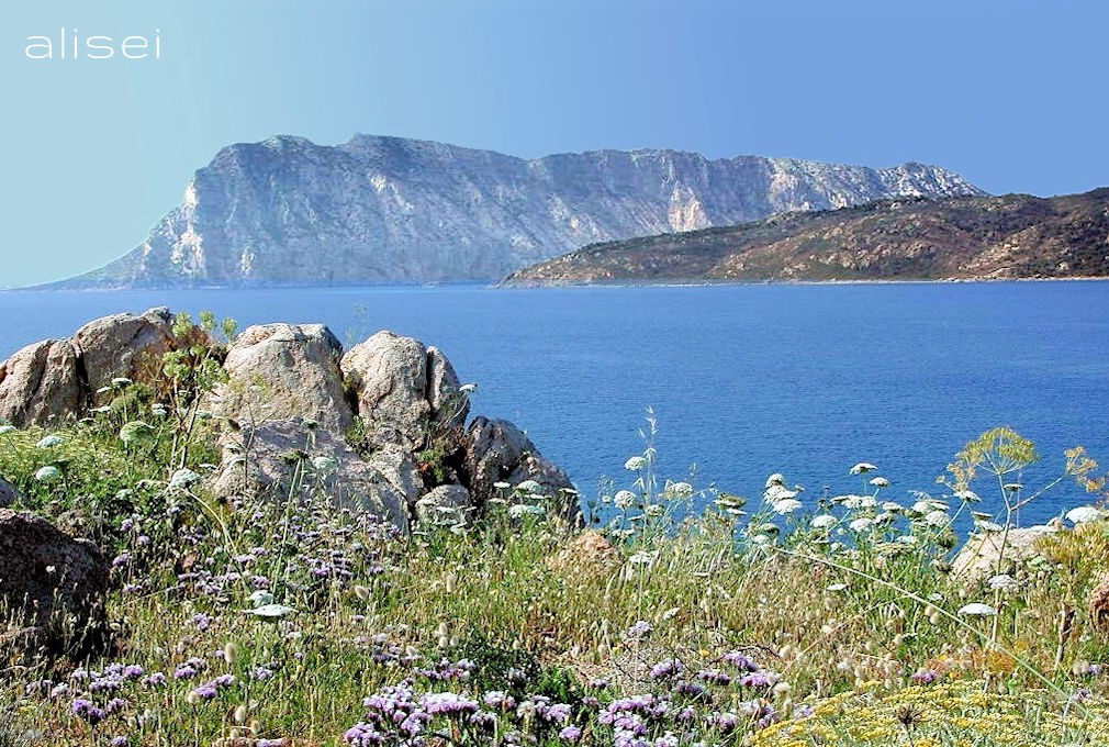 Vista sulla Tavolara da Cala Suaraccia