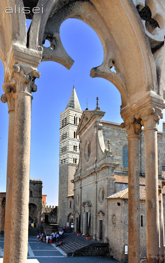 veduta di San Lorenzo dal palazzo dei Papi