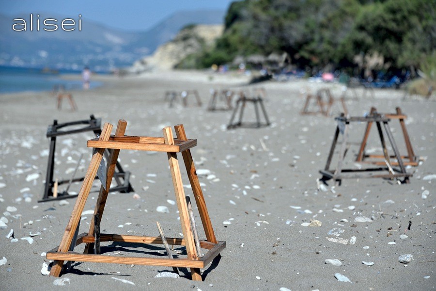 zante dafni e uova tartarughe