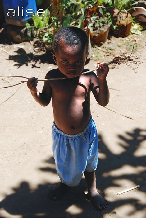 Piccolo volto incuriosito Madagascar