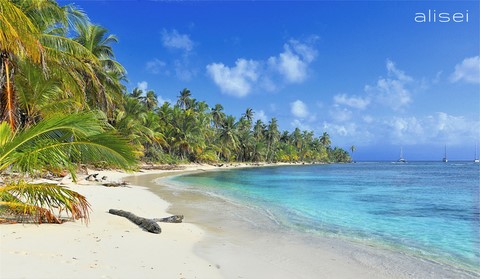 bella e solitaria spiaggia a Green Island San Blas
