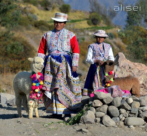 donne e alpaca del perù