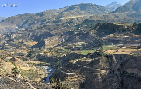 panoramica canyon colca perù