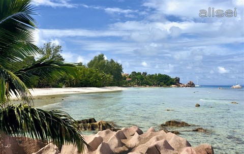 Seychelles - spiaggia di Anse Severe