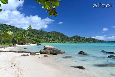 Seychelles - Anse aux Pins