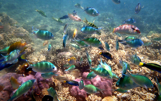 Indonesia — Sole e Mare, Alisei Blog