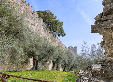 Tratto della cinta muraria della Rocca