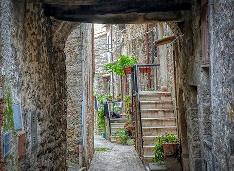 Galleria fotografica di Montecchio