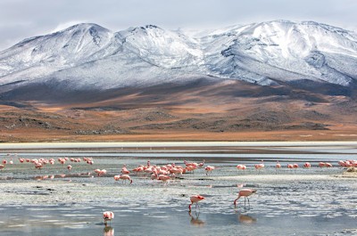 bolivia