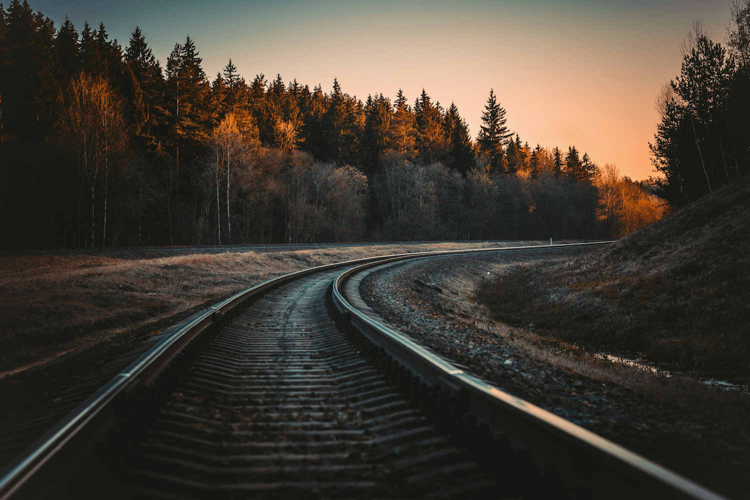 La Petite Ceinture di Parigi, binari abbandonati invasi dalla vegetazione selvatica